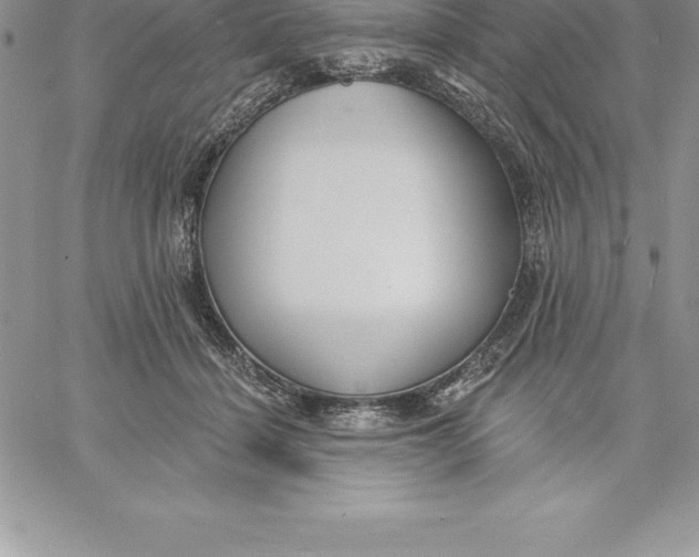 X0000060560460200511241255