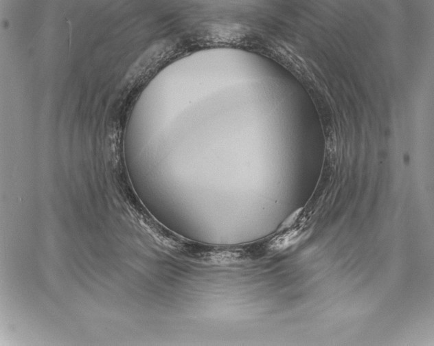 X0000060560462200511241255