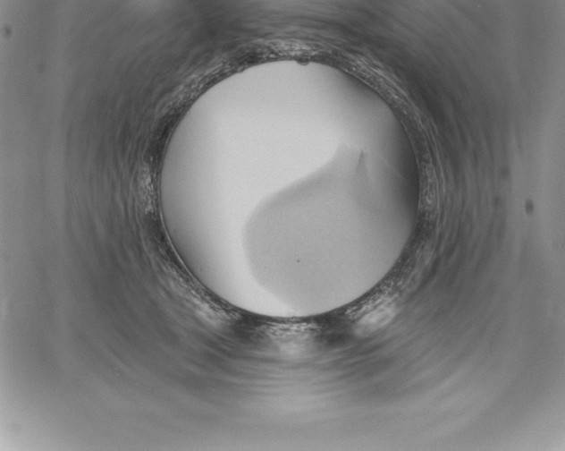 X0000060560465200511241255