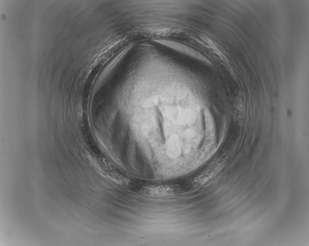 X0000060560500200511241254