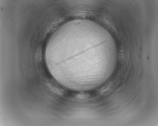 X0000060560504200511241254
