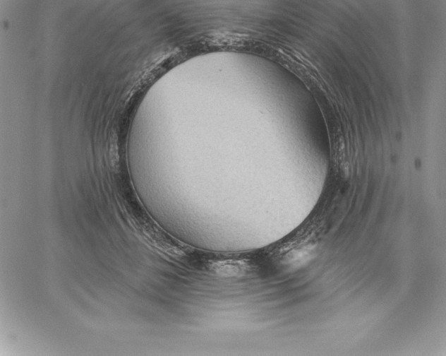 X0000060560508200511241254