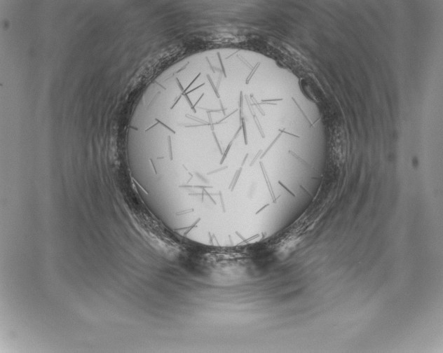 X0000060560512200511241254