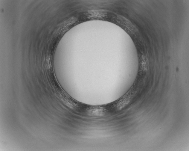 X0000060560514200511241254