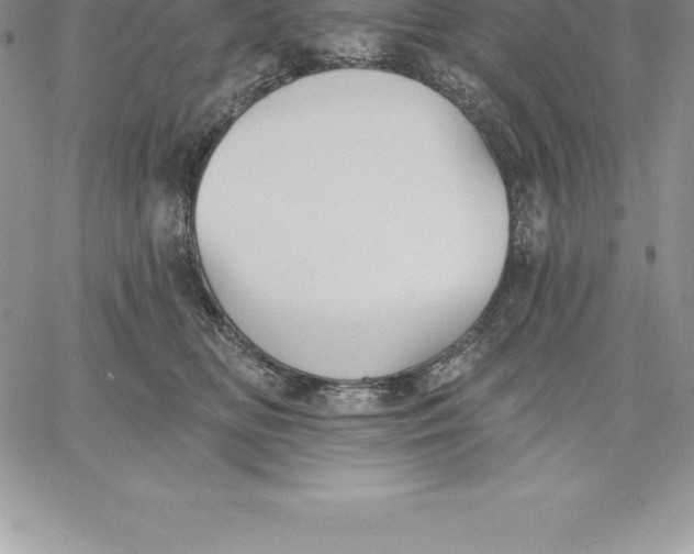 X0000060560518200511241254
