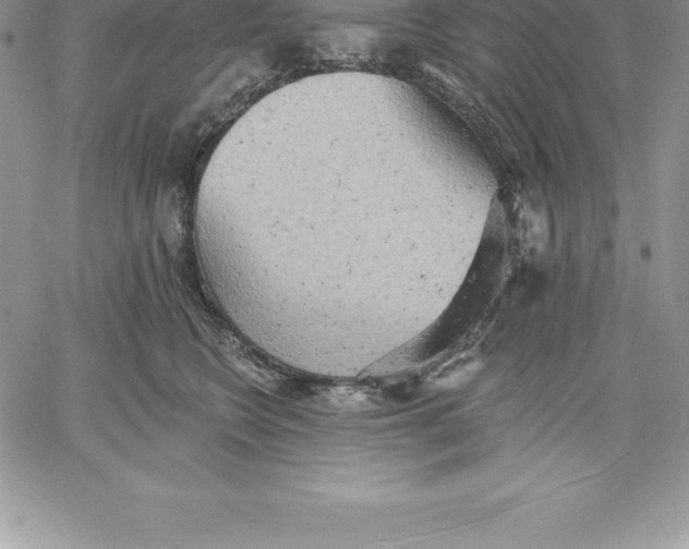 X0000060560566200511241254