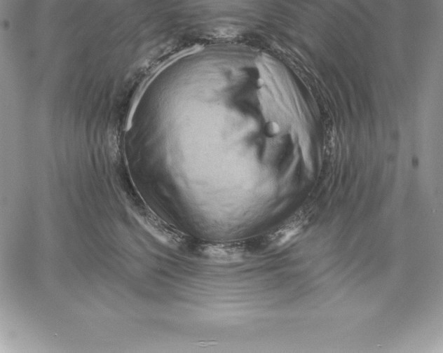 X0000060560568200511241254
