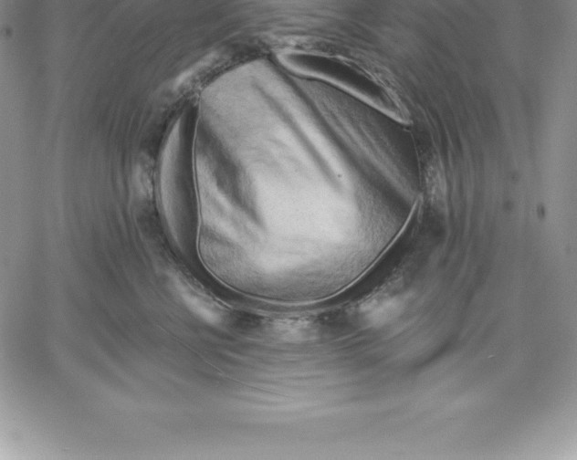 X0000060560570200511241254