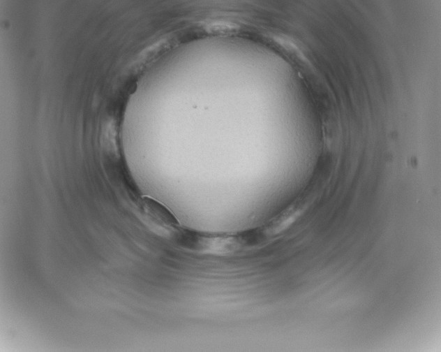 X0000060560575200511241254