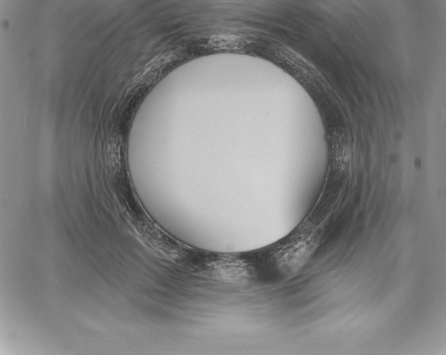 X0000060560603200511241252
