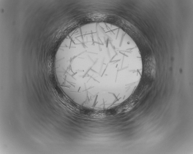 X0000060560604200511241252