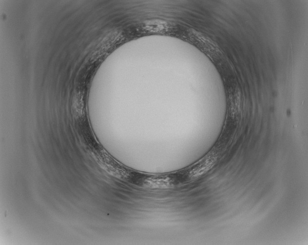 X0000060560606200511241252