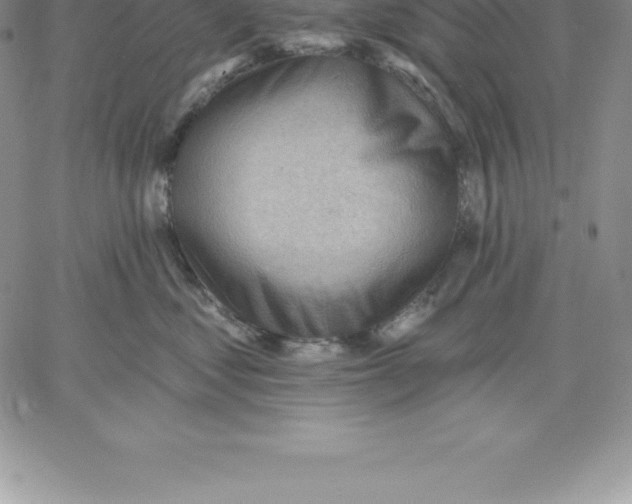 X0000060560621200511241252