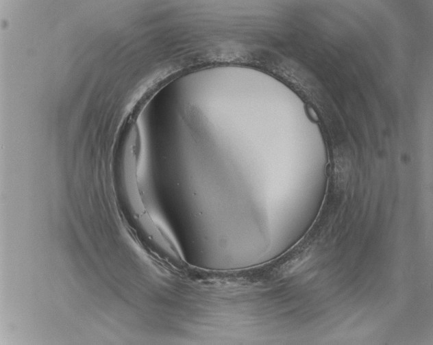 X0000060560626200511241251