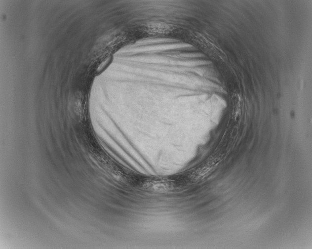 X0000060560655200511241252