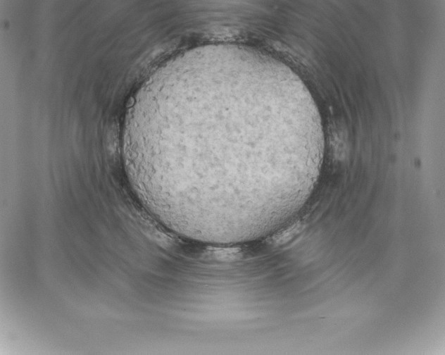 X0000060560665200511241252