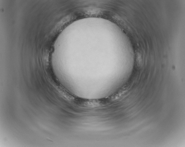 X0000060560668200511241252