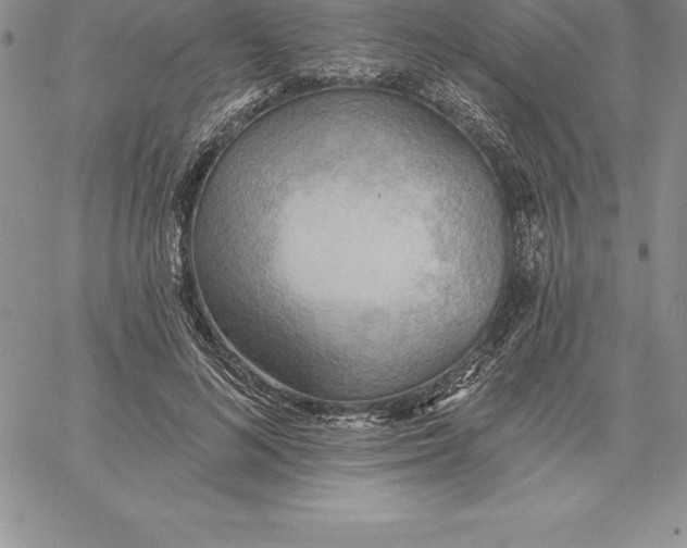 X0000060560692200511241251