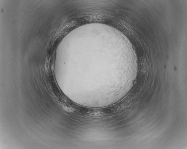 X0000060560695200511241251