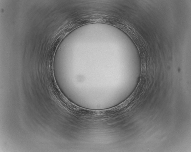 X0000060560696200511241251