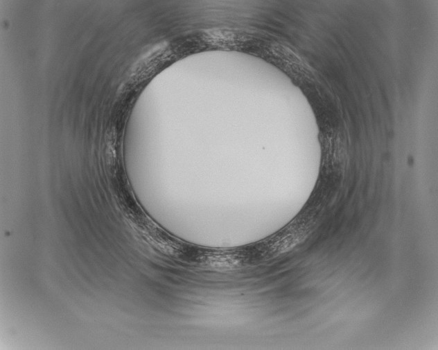 X0000060560702200511241251