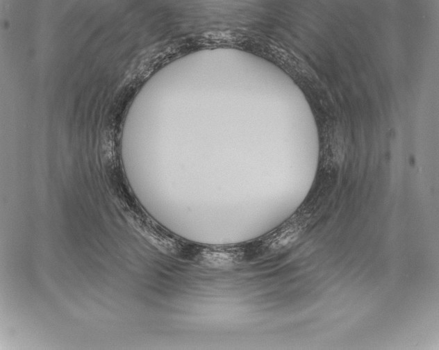 X0000060560706200511241251