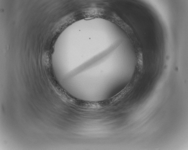 X0000060560715200511241251