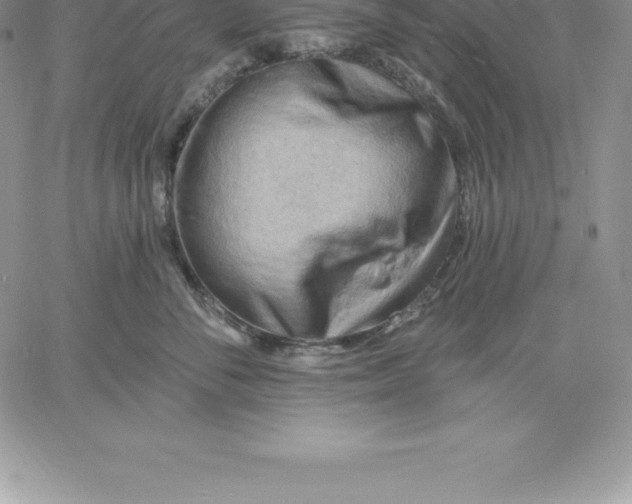 X0000060560716200511241251
