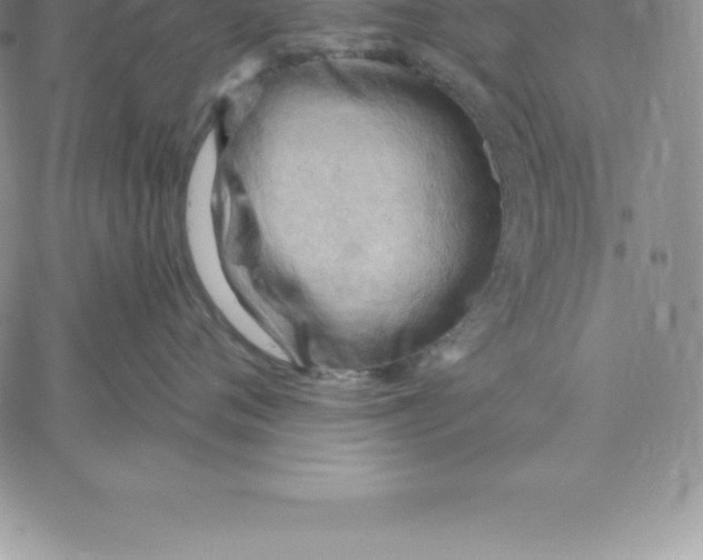 X0000060560720200511241251