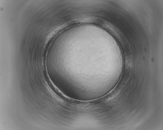 X0000060560725200511241250