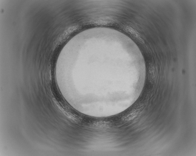 X0000060560734200511241250