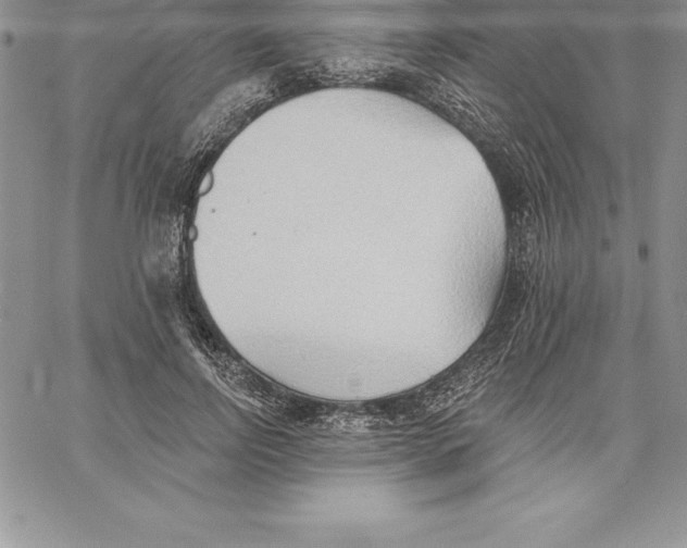 X0000060560742200511241250