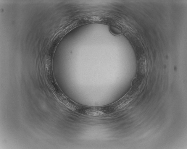 X0000060560747200511241250