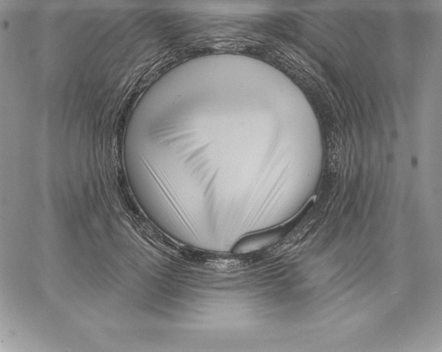 X0000060560748200511241250