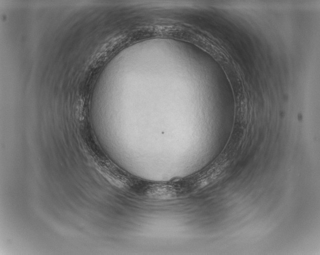 X0000060560750200511241250