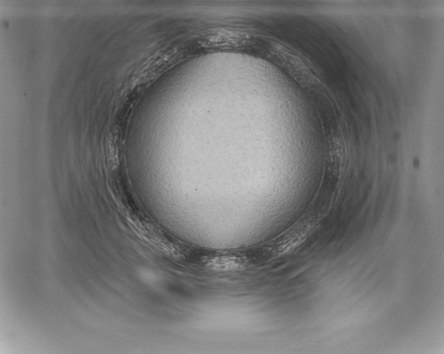 X0000060560751200511241250