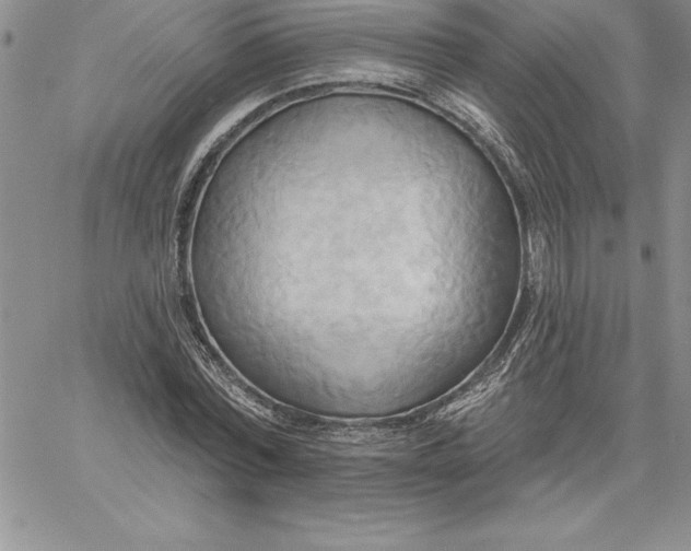 X0000060560780200511241250