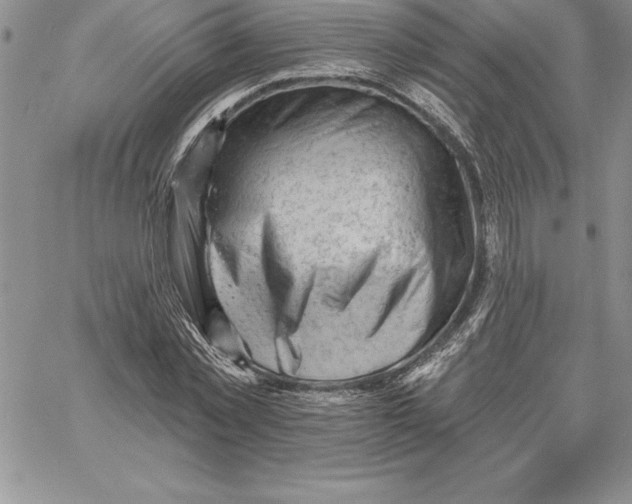 X0000060560781200511241250