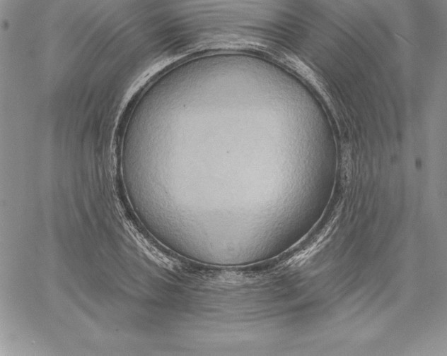X0000060560787200511241249