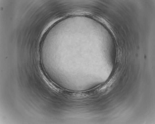 X0000060560795200511241249