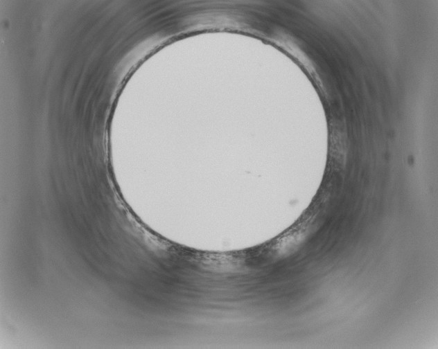 X0000060560807200511241249