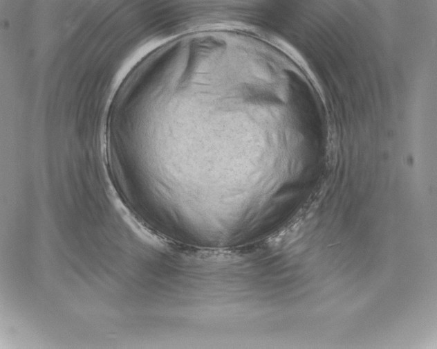 X0000060560811200511241249