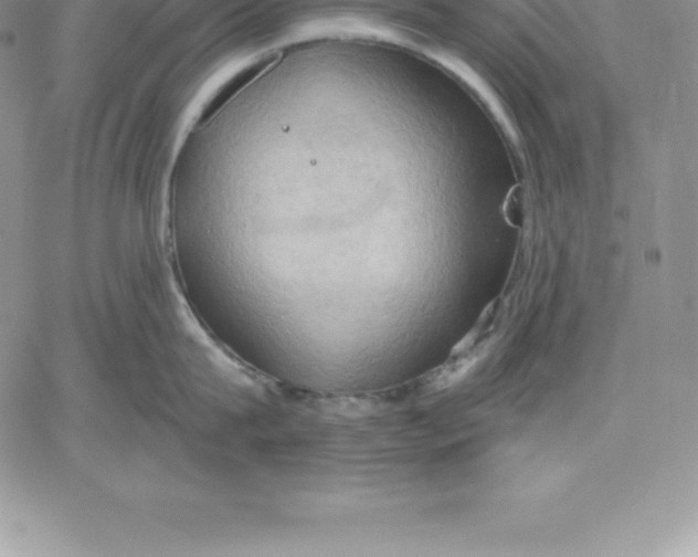 X0000060560815200511241249