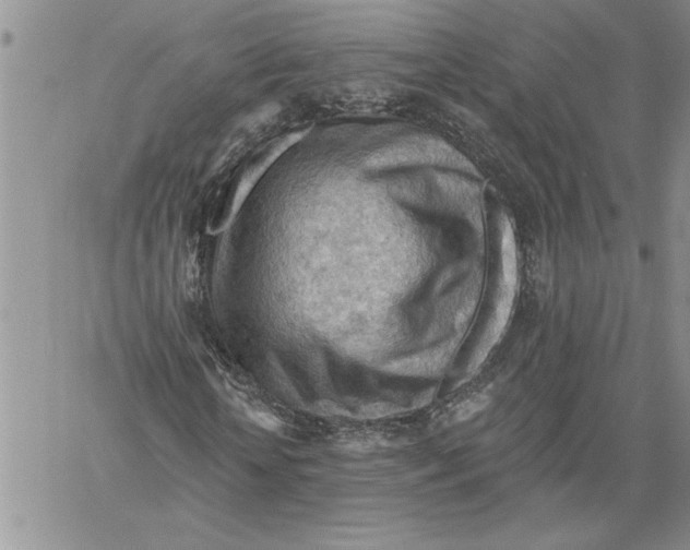 X0000060560818200511241248