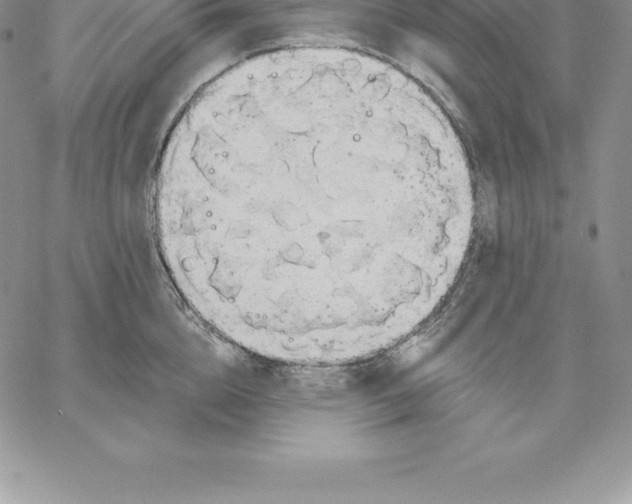 X0000060560856200511241249