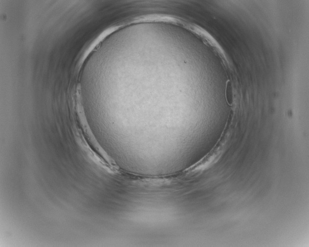 X0000060560860200511241249
