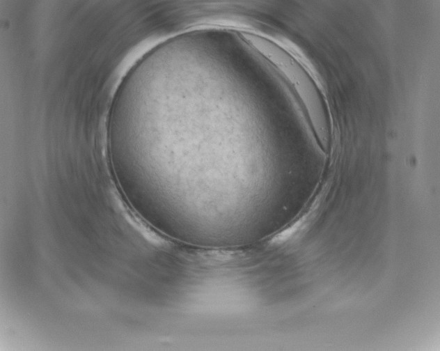 X0000060560862200511241249