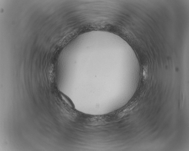 X0000060560867200511241248