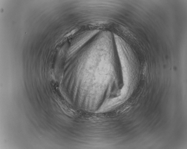 X0000060560868200511241248