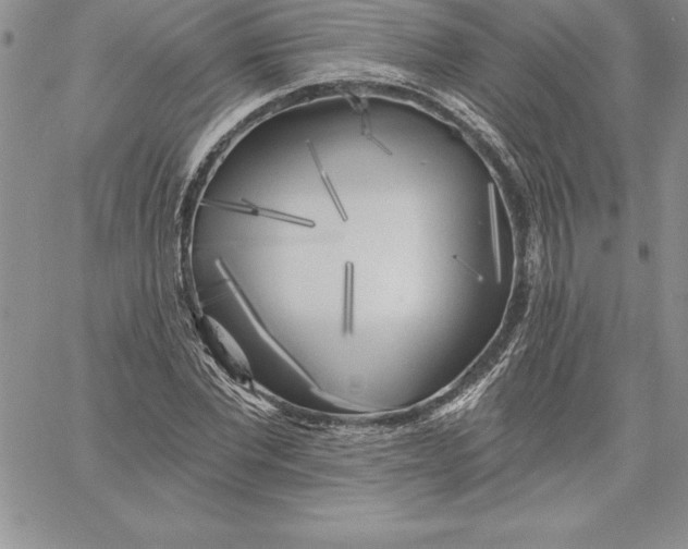 X0000060560877200511241248